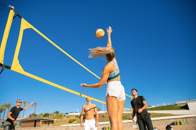 Montreslavia transformación